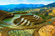 Longji Rice Terrace