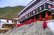 Drepung Monastery