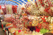 Flowers and Birds Market