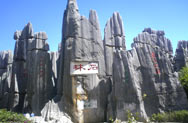 Stone Forest